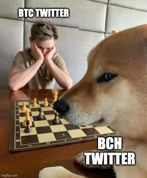 Doge chess